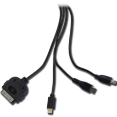 2GO Ladegerät Mini 4 in 1 Home Charger