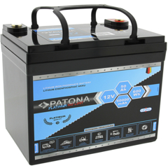 Patona Akku Platinum LiFePO4 