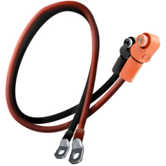 Liontron Kabelsatz für LX48-100 Speicher
