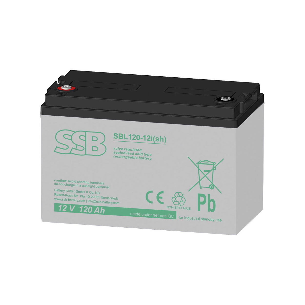 a/9/6/f/a96fdbf12a6c5ebe424733bfd6ac73388eb30a88_148029.jpg